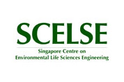 Scelse